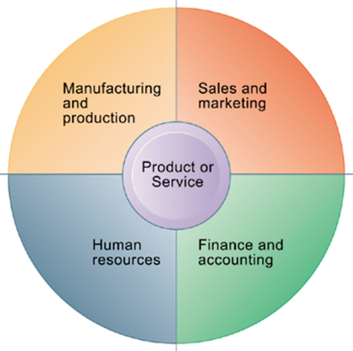 what are function of business plan